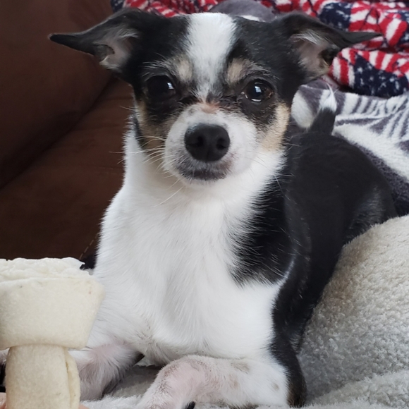 Meet your Posher, Christa - Picture 1 of 1